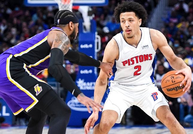 极具观赏性 极具观赏性