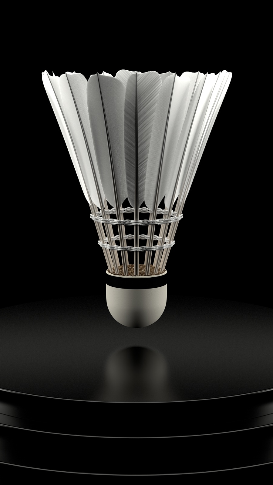 山东地方体 山东地方体