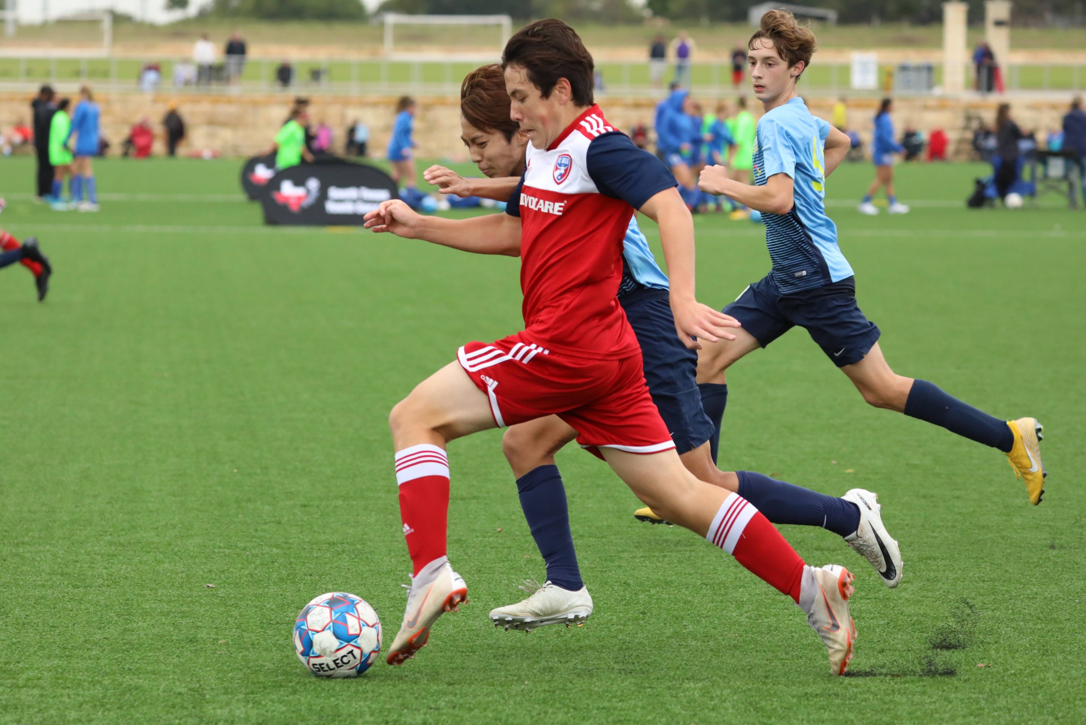 若赛前必须 若赛前必须