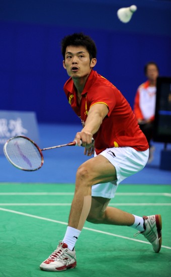 他们不仅是 他们不仅是